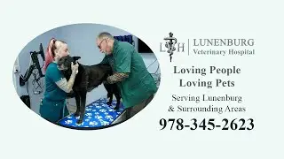 Lunenburg Veterinary Hospital