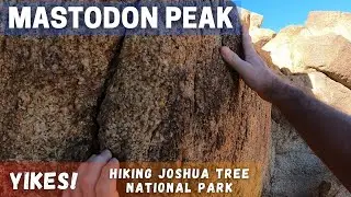 Joshua Tree National Park Mastodon Peak Loop Trail (Hiking and Bouldering)