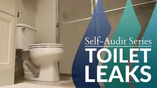 Self-Audit Series: Toilet Leaks