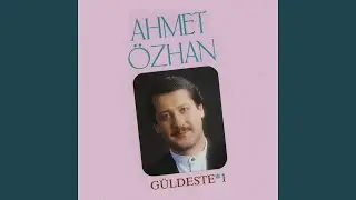 Güzel Aşık Cevrimizi