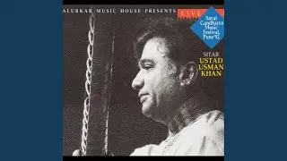 Raga Malkauns (Alap) (Live)