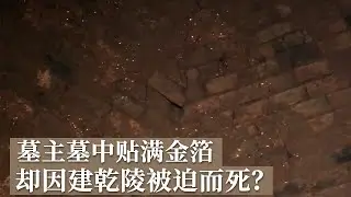 墓中器物似乾陵器物 墓室贴满金灿灿的金箔 墓主人竟是因建造乾陵而被迫死亡？《探索·发现》贾里村唐墓发掘记丨中华国宝