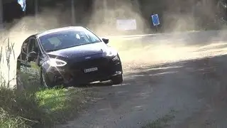 Herbstrallye Dobersberg 2023 | Best of Neulinger/Winkler | Ford Fiesta Mk8 ST | MSC Schenkenfelden