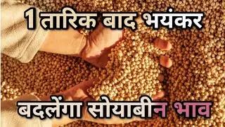 ऐसा क्या हुआ कि जिस कारण 1 फरवरी के बाद देश में भयंकर बदलेंगा का सोयाबीन का भाव 