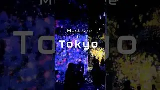 Must see in Tokyo: Teamlab Borderless #tokyo #japan #traveljapan #teamlab #museum
