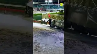 Этот мужчина контролирует последний круг в собачьих бегах 🐕 Объяснение поведения собак на скорост...