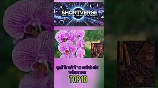 @10 Amazing Flower Facts You Didn&rsquo;t Know!