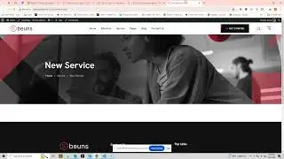 WordPress Customization - Beuns Service Post