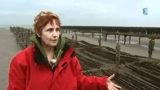 La Baie de Somme en habits d'&eacute;t&eacute; : les moules, des bouchots &agrave; l'assiette.