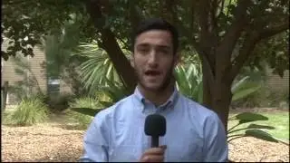upstart TV: Pirates of the internet