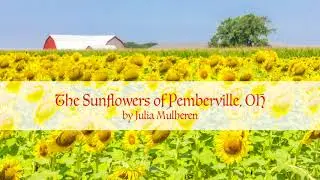 The Sunflowers of Pemberville Ohio