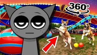 Сможете ли вы найти Gray Incredibox Sprunki во всех локациях в 360&deg; VR за 15 секунд?