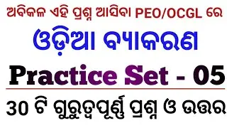 Odia Grammar Practice set -5 for OSSC/OSSSC || Sahoo ji Study ||