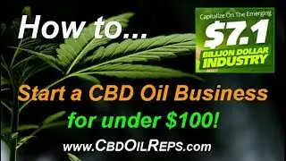 CBD Oil Business - How to Start a CBD Oil Business for under $100 &ndash; The Hottest Health Trend Today!