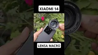 LENSA MACRO HP | XIAOMI 14 #smartphone #nature #macro #macrophotography #macrolens