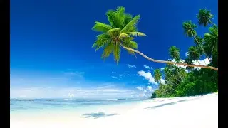 Arambol beach|Russian beach in north goa |Hidden place in arambol where russian used to go .
