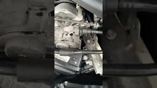W141