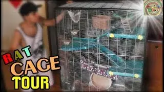 RAT CAGE TOUR Zeno 3 Empire | Tordi Vlogs