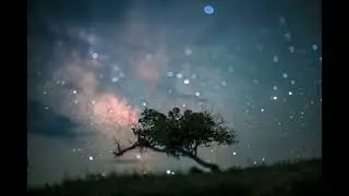 #7Artisans 50mm F1.4 Tilt-Shift lens transforms nightscapes into surreal, storybook scenes.
