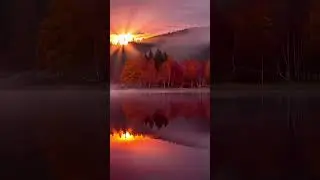 Best nature whatsapp status||village nature|| video #shorts​ #nature​ #viral​ #trending​