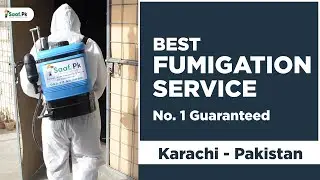 Best Fumigation Services in Karachi - No.1 Guarantee