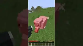 minecraft red wool speedrun ⏱️ 🟥 (fake) (not timed)