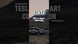 Real-time Safety, Driving, Charging & Maintenance Alerts for Tesla | ELVEE APP #Tesla #Elvee