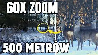 Czy Panasonic FZ82 jest dobry do nagrywania natury? Zoom i stabilizacja test