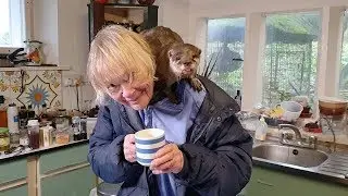 Woman Lives With Playful Otters
