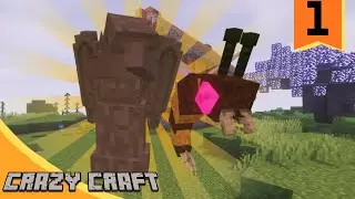 THE BEGINNING OF THE NEW ADVENTURE (CRAZY CRAFT ADVENTURE) EP 1