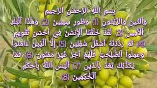95. Surah At-Tīn | سورة التين | The Fig