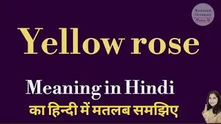yellow rose meaning l meaning of yellow rose l yellow rose ka Hindi mein kya matlab hota hai l vocab