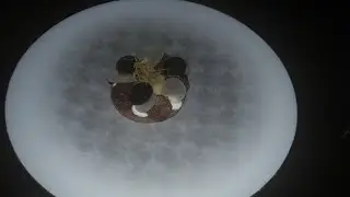 Alo Restaurant | Toronto