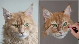 How to draw a Maine Coon cat - timelapse tutorial - part three