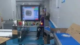 Safety Inspection Pet Food X Ray Machine For Canned Fish IFS Approved