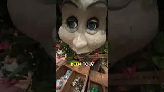 Поездка в кафе Rainforest 👀🌴 #шорты