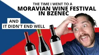 Moravian Wine festival in Bzenec - Czech Republic