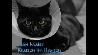 Tian Maier - Kratzen im Kragen