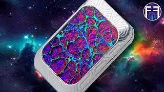 Shim Shy Slider — отличный бюджетный вариант для развлечений | Sky Nest EDC