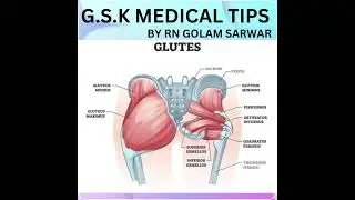 #shorts #biology #education #medical G.S.K MEDICAL TIPS YOUTUBE CHANNEL.