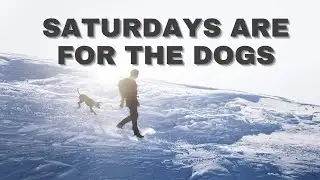 Search & Rescue K9, Human Remains Detection K9, PSA and Police K9s in a Day | Grassroots K9