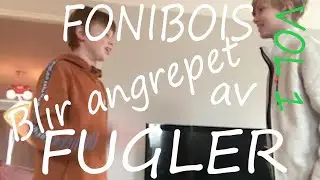 FONIBOIS blir angrepet av fugler (DEL 1)