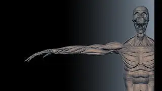 March 3rd & 4th Zsculpt