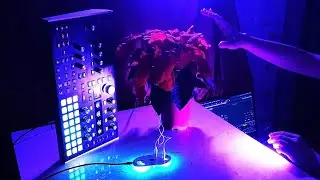 Polypumpkins - Organic Optic Mix # 24001 (Biotron / Hydrasynth Desktop) 📻