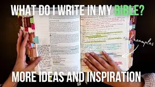 Bible Journaling Ideas - What do I write in my bible? Even MORE Inspiration and real examples