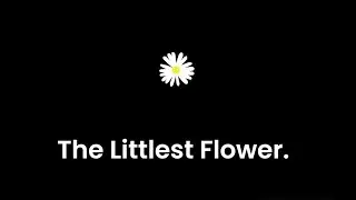 The Littlest Flower I Written by Wren Jennings, survivor of childhood abuse.