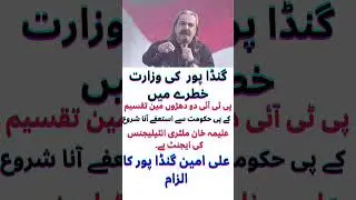 Gandapur's ministry in danger, Aleema Khan is a military intelligence agent, Gandapur's accusation.
