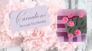 Carnations Sugar Flowers