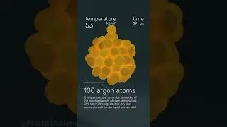 Effect of Temperature on Molecular Motion
