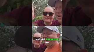 Охота на аллигаторов и змей во время прогулки на природе!